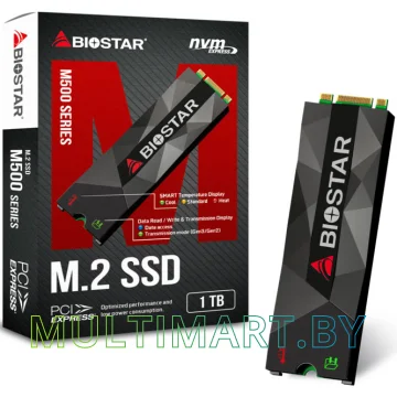 SSD диск BIOSTAR M500 1TB (M500-1TB)